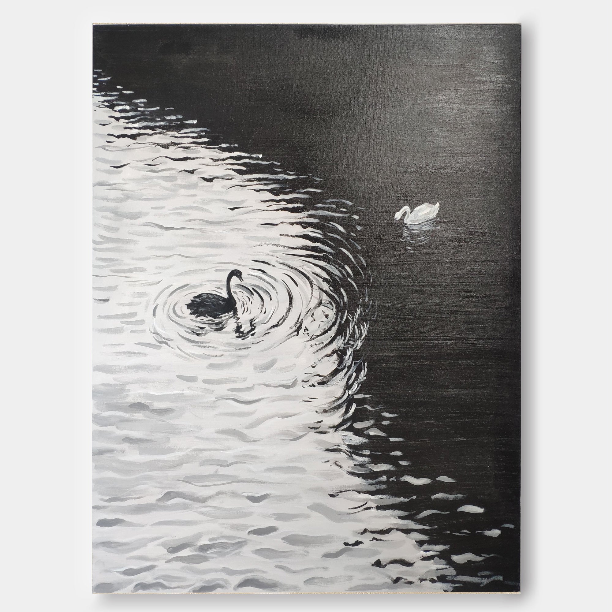 Monochrome Swans in Serene Waters